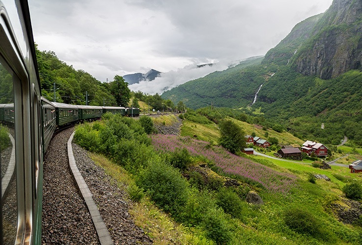 View of hillside from train