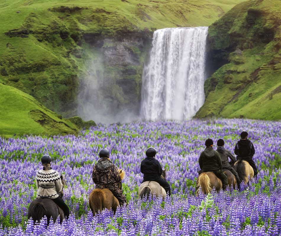 horseback-riding-iceland