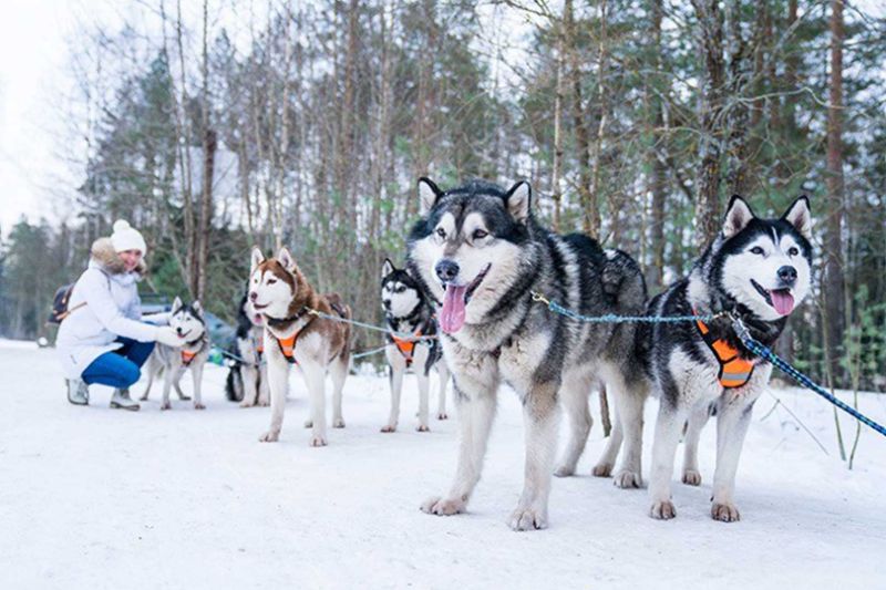 finland winter tour