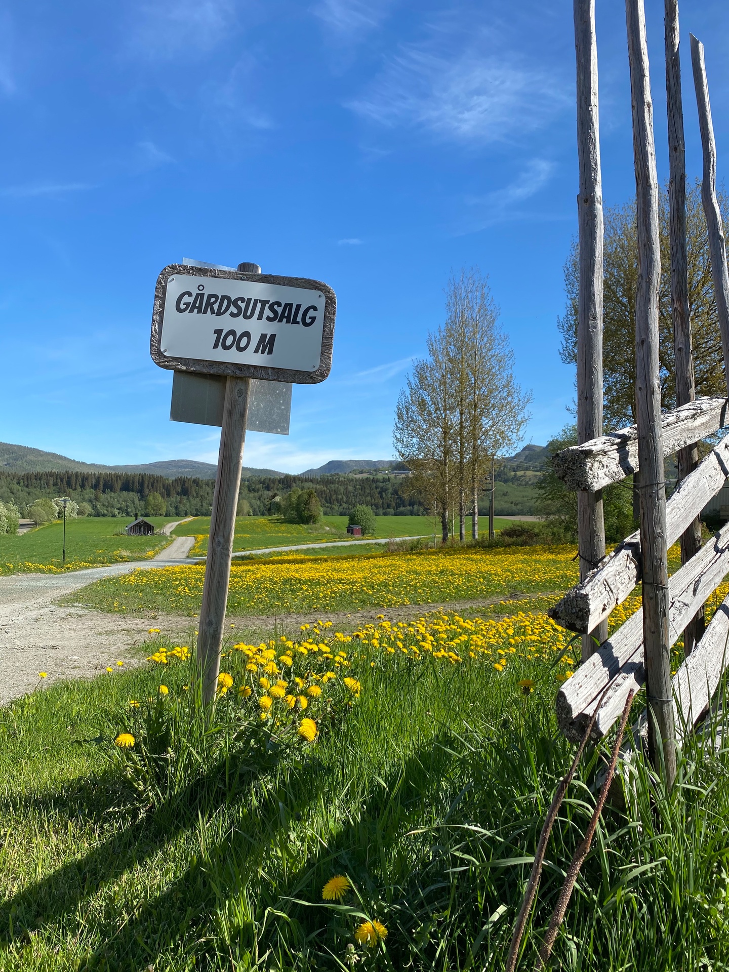 Farm shop at Trøndelag Food Region_Silje Kolaas - Oi! Trøndersk Mat og Drikke